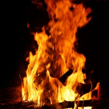 IMG-20210311-WA0014
